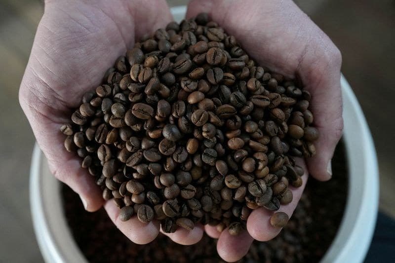 Cecafé revisa exportações de café e aumenta volume para 2,94 milhões de sacas