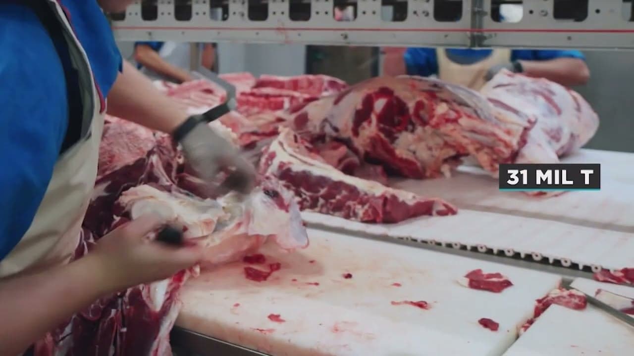 Exportações de carne bovina de MT crescem com alta de preços