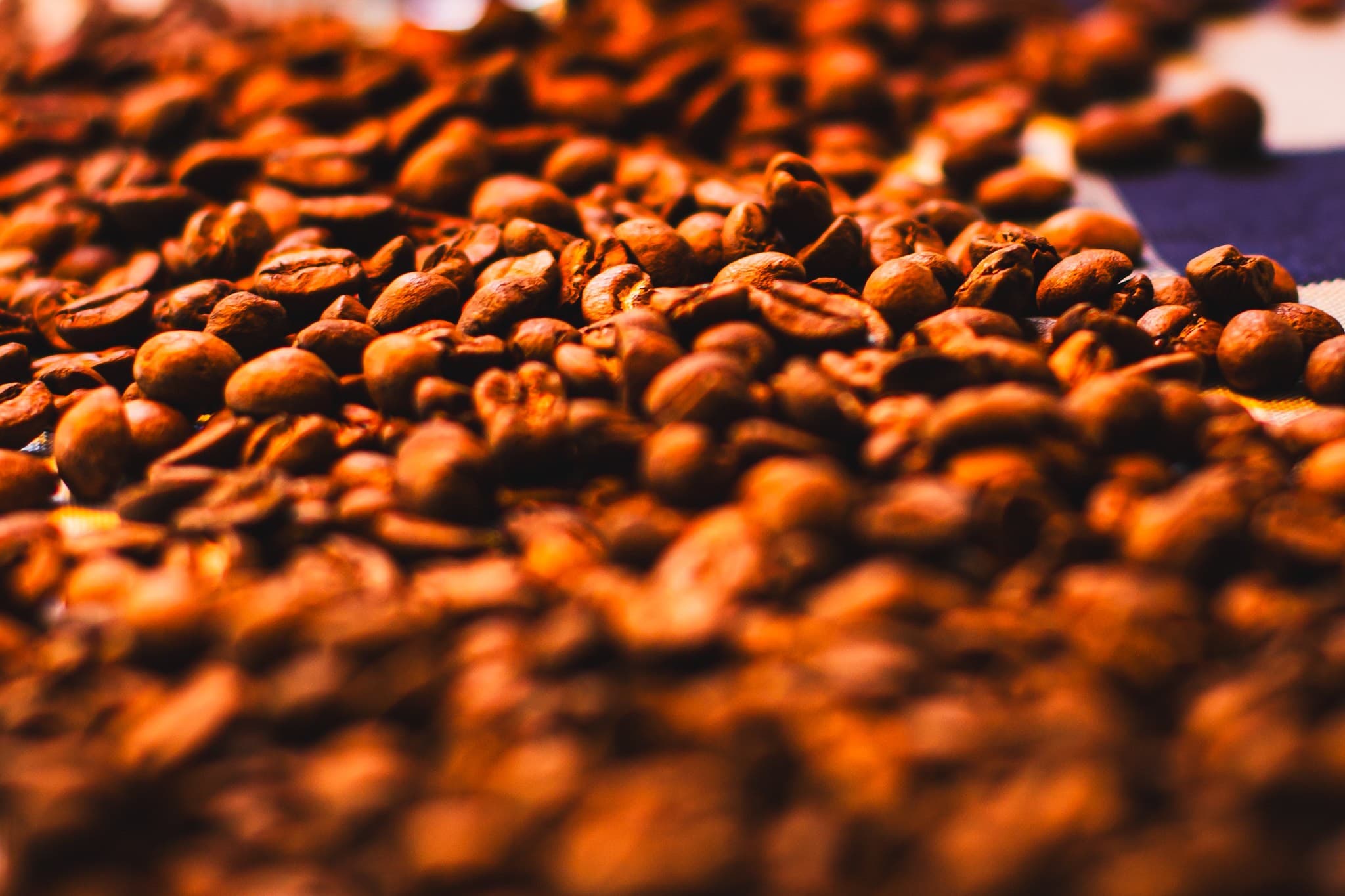 Café tem alta na bolsa de Nova York devido à colheita brasileira