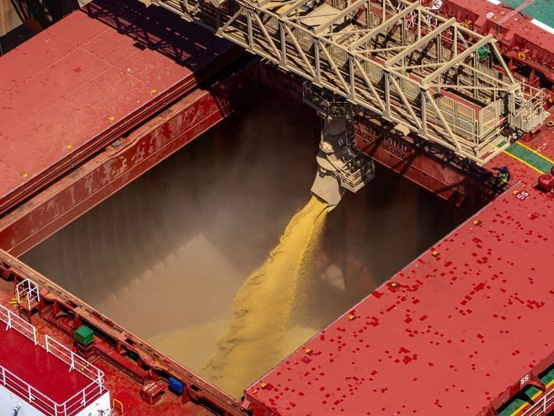 Imporções de soja da China subem, mas ficam abaixo das previsões