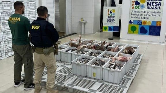 Acre: Ibama e PRF apreendem 700 kg de pescado ilegalmente transportado