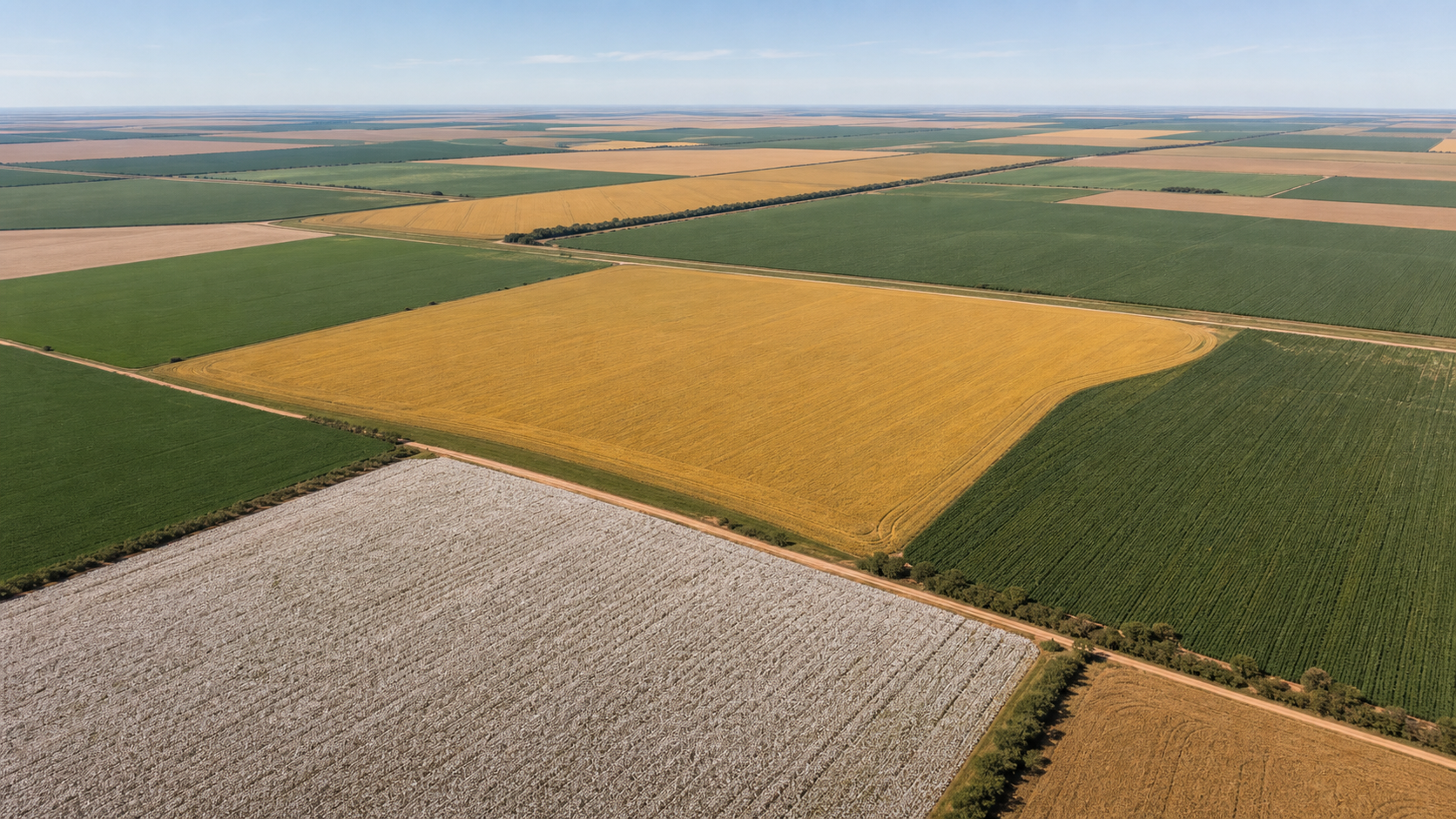 SLC Agrícola analisa venda de áreas da Radar após notificação da Cosan