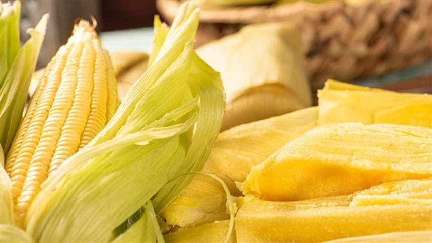 Instabilidade no mercado de milho causa variação de preços na bolsa brasileira