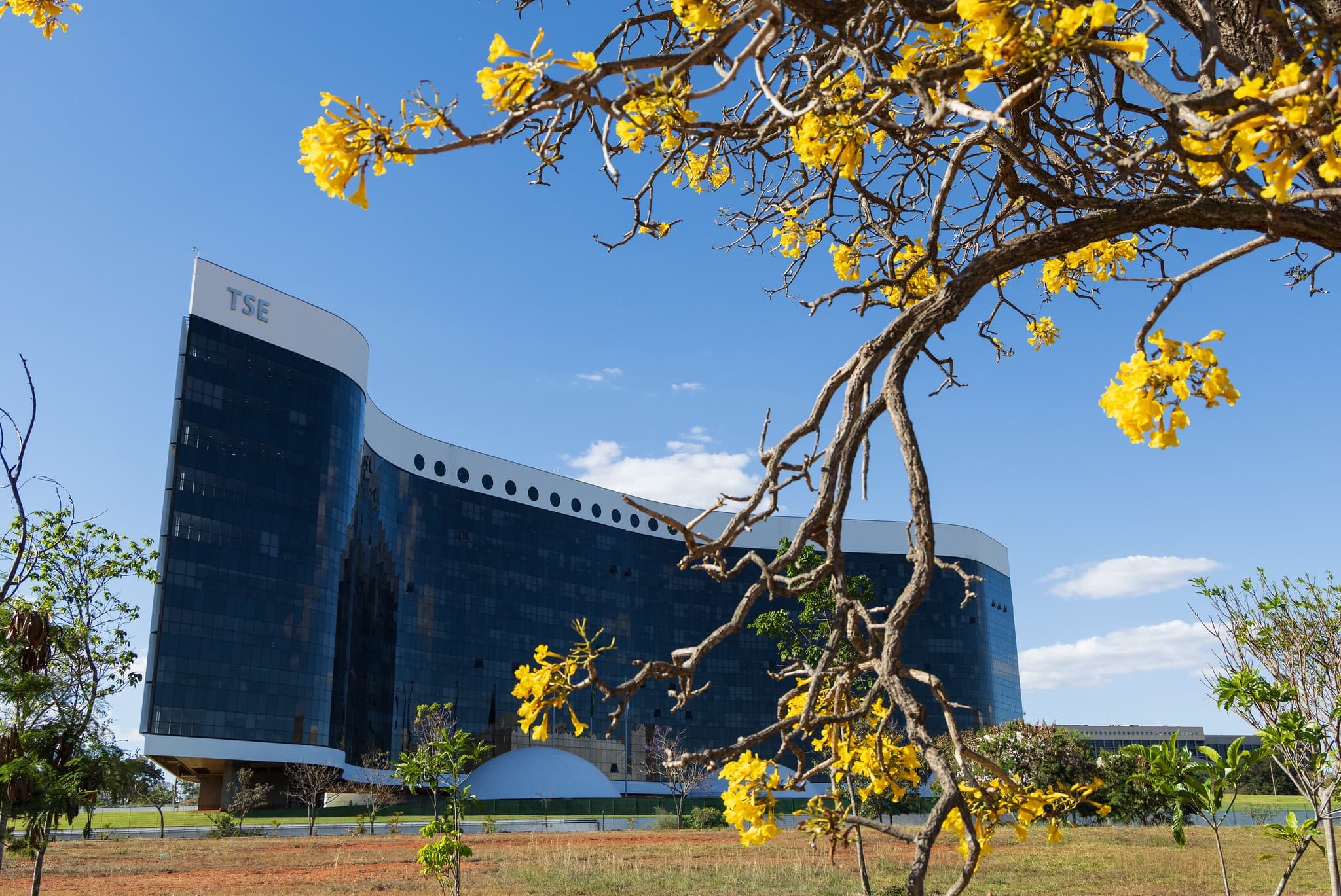 TSE altera registro de pesquisas eleitorais e institutos criticam novas regras