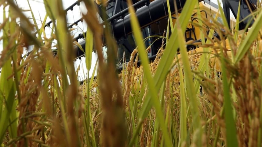 Produtor precisa estar atento aos impactos climáticos