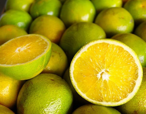 Mercado de frutas cítricas tem queda na laranja e alta na tangerina