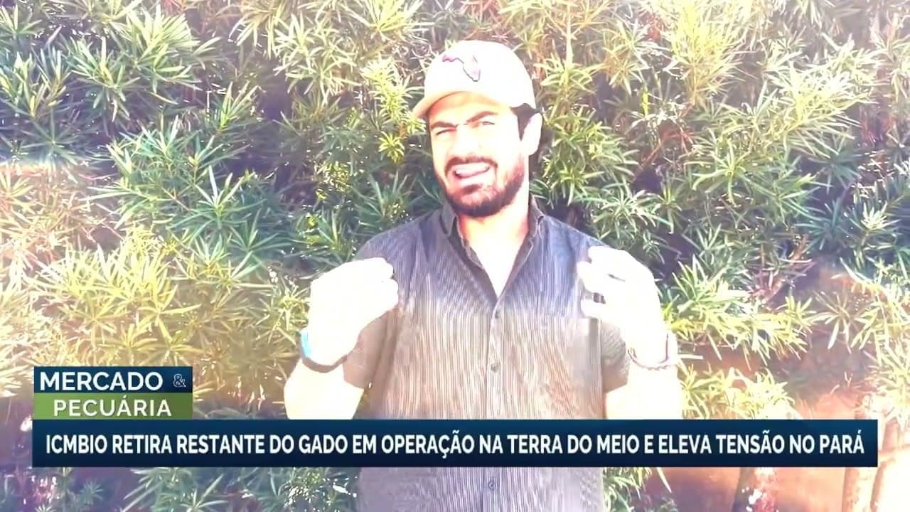 Tensão em São Félix do Xingu após apreensão de gado pelo ICMBio