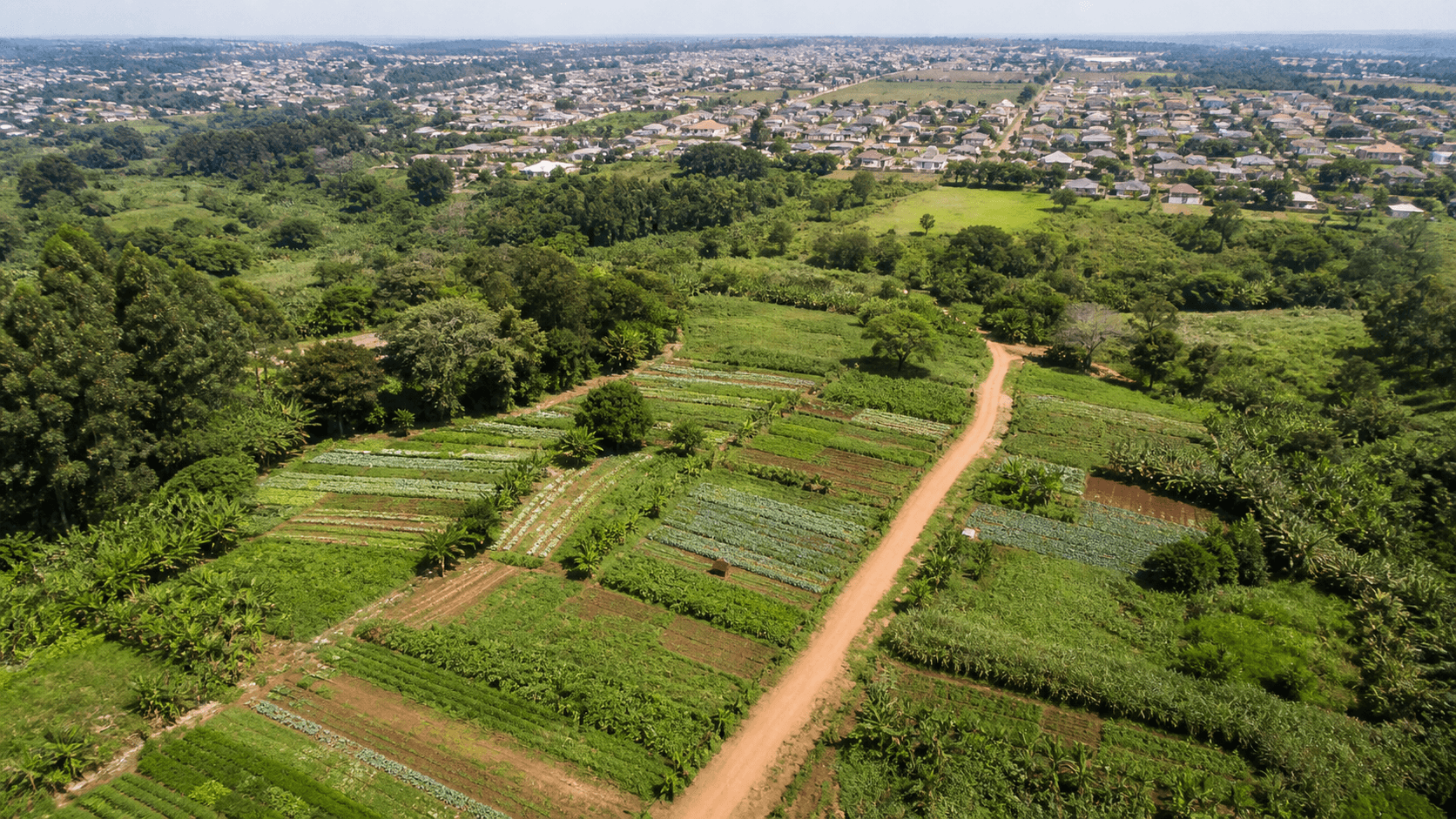 MDA cria grupo para valorizar Sistemas Agrícolas Tradicionais