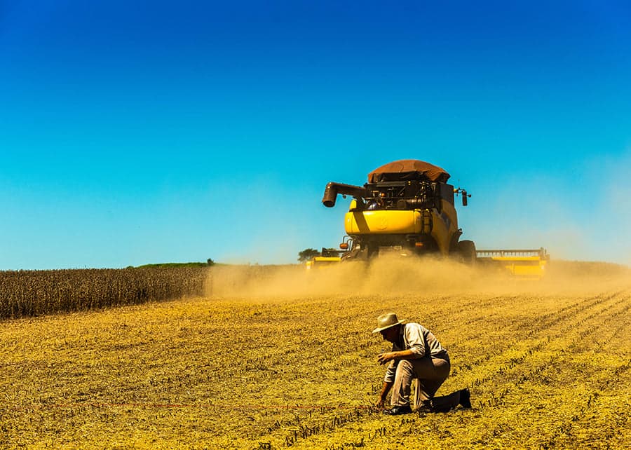 Estudo aponta desafios éticos no agronegócio brasileiro