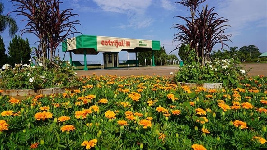 Inovações na produção leiteira em pauta: fórum discute desafios do setor