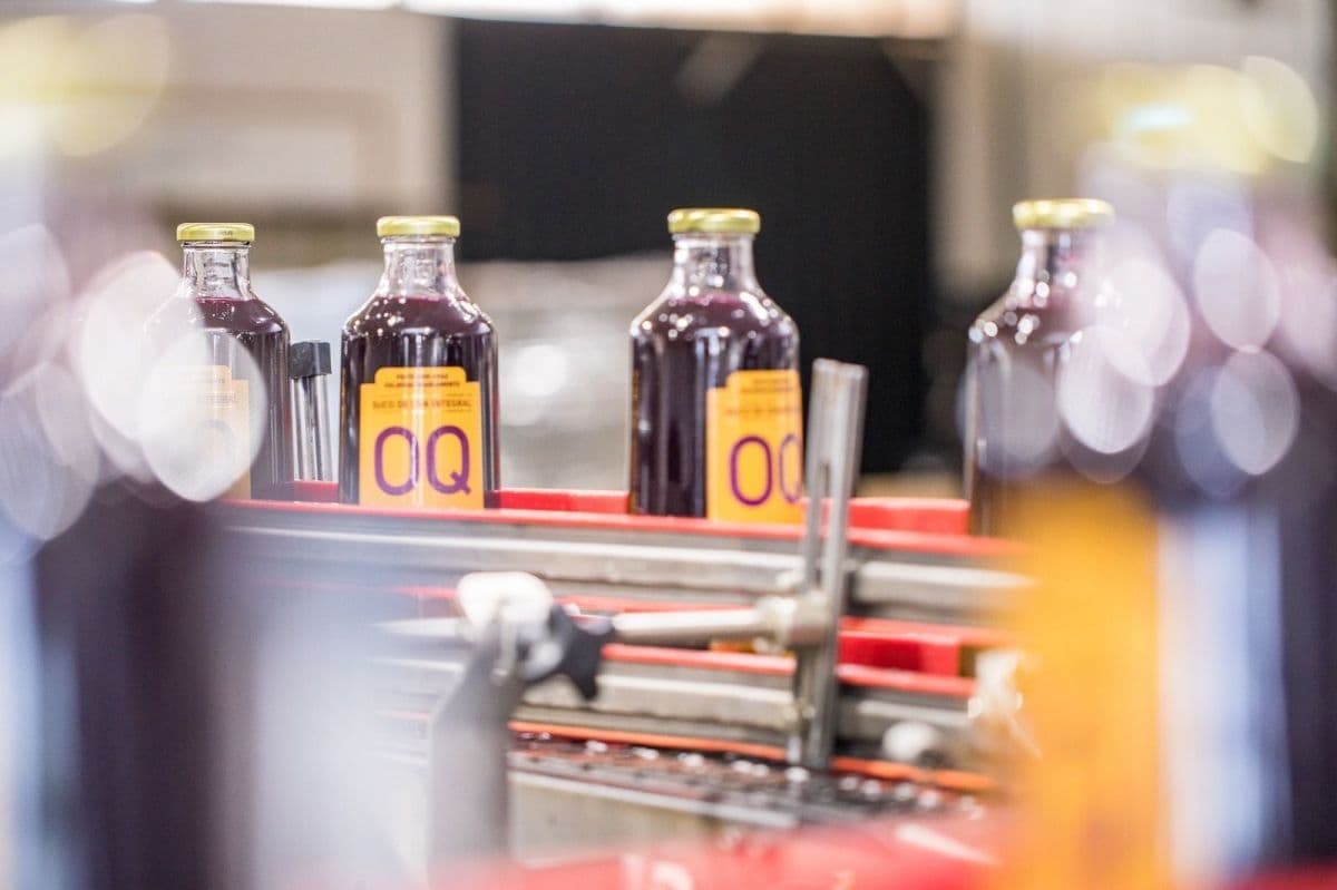 Timbaúba investe R$ 100 milhões para expandir mercado internacional