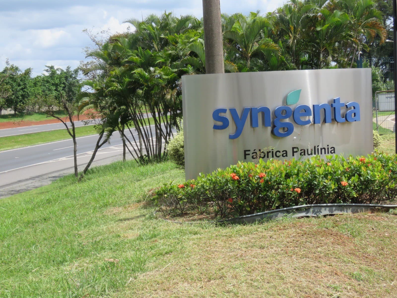 Syngenta Reporta Queda no Lucro Apesar de Vendas Elevadas em 2025