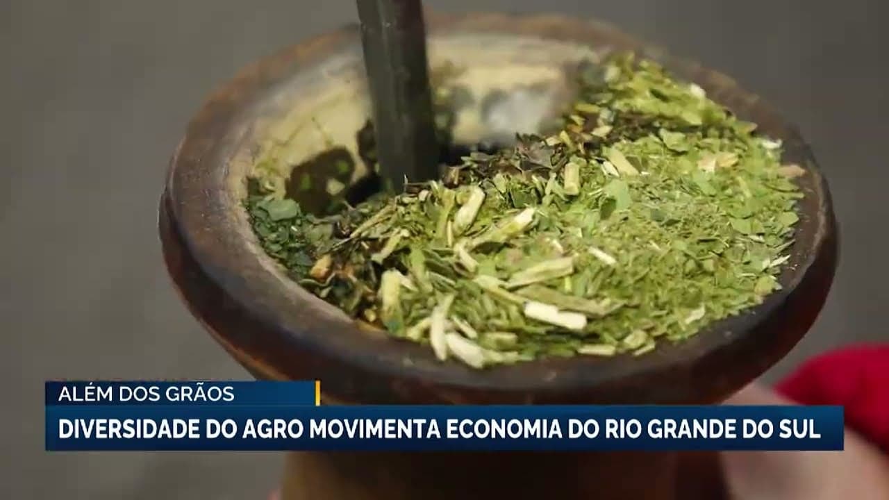 Rio Grande do Sul é o terceiro maior produtor de grãos do Brasil