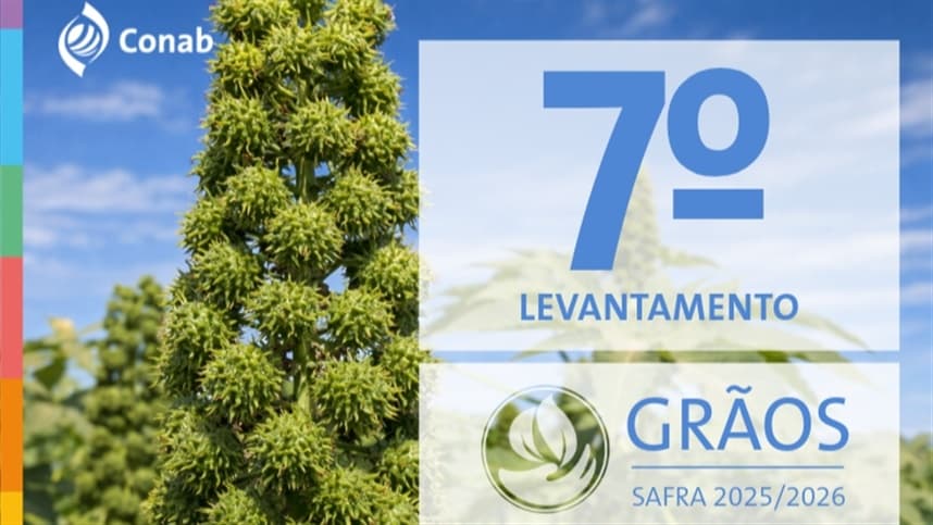 Produção de grãos no Brasil pode atingir recorde de 356,3 milhões de toneladas