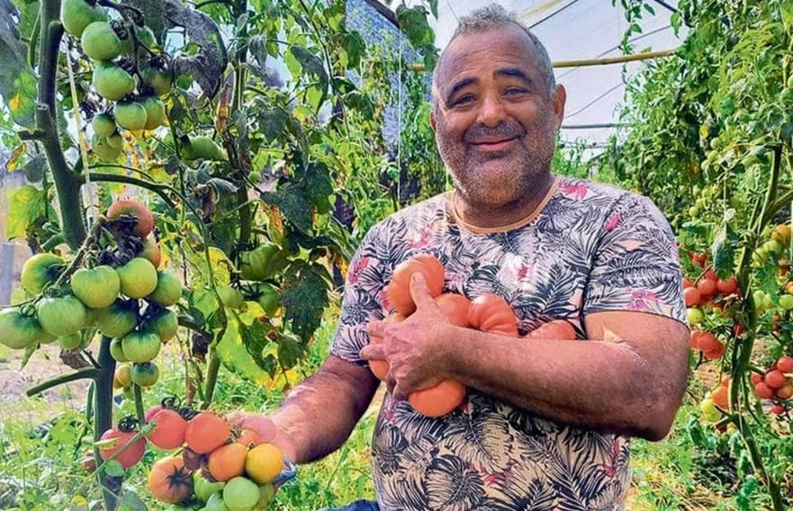 Coleção de tomates gera renda e conquista chefs no Rio de Janeiro