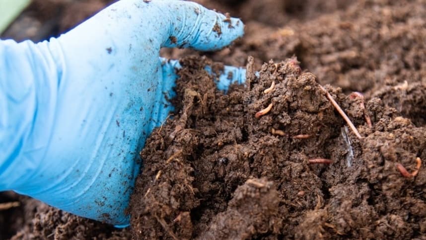 Fertilizante orgânico ganha destaque no Rio Grande do Sul