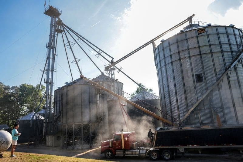 Indústria de soja prevê produção recorde de farelo e óleo até 2027