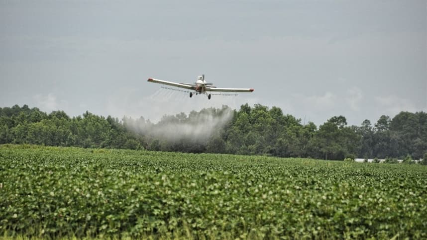 Aplicação aérea de defensivos no milho: vantagens e desafios