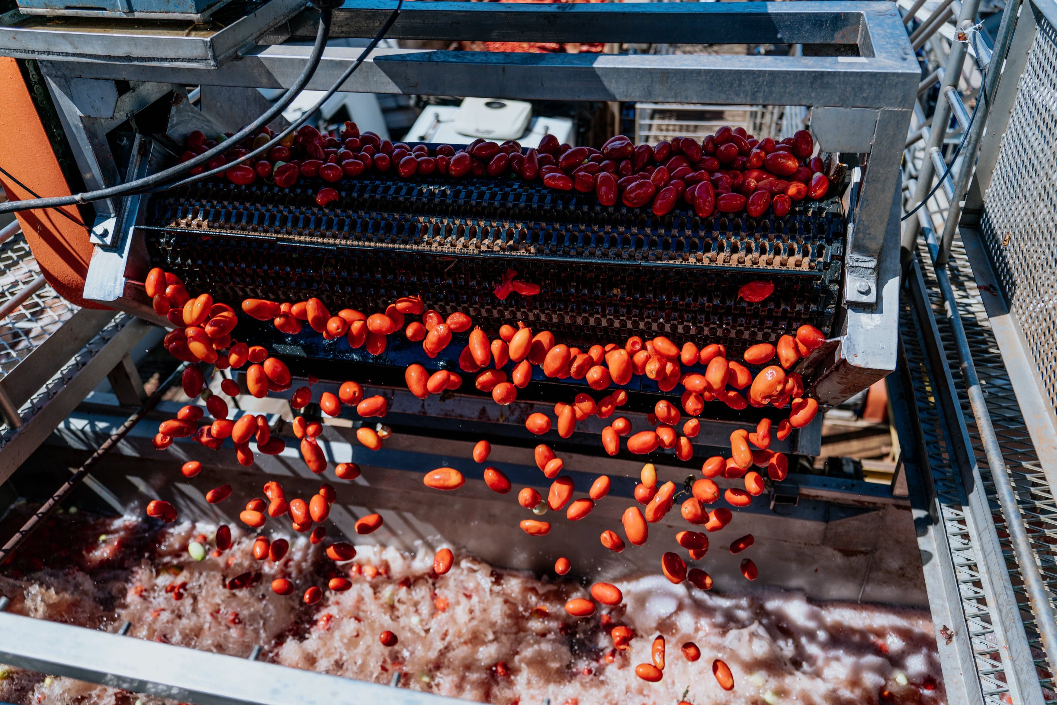 Kraft Heinz investe R$ 1 bilhão para aumentar produção de tomate no Brasil