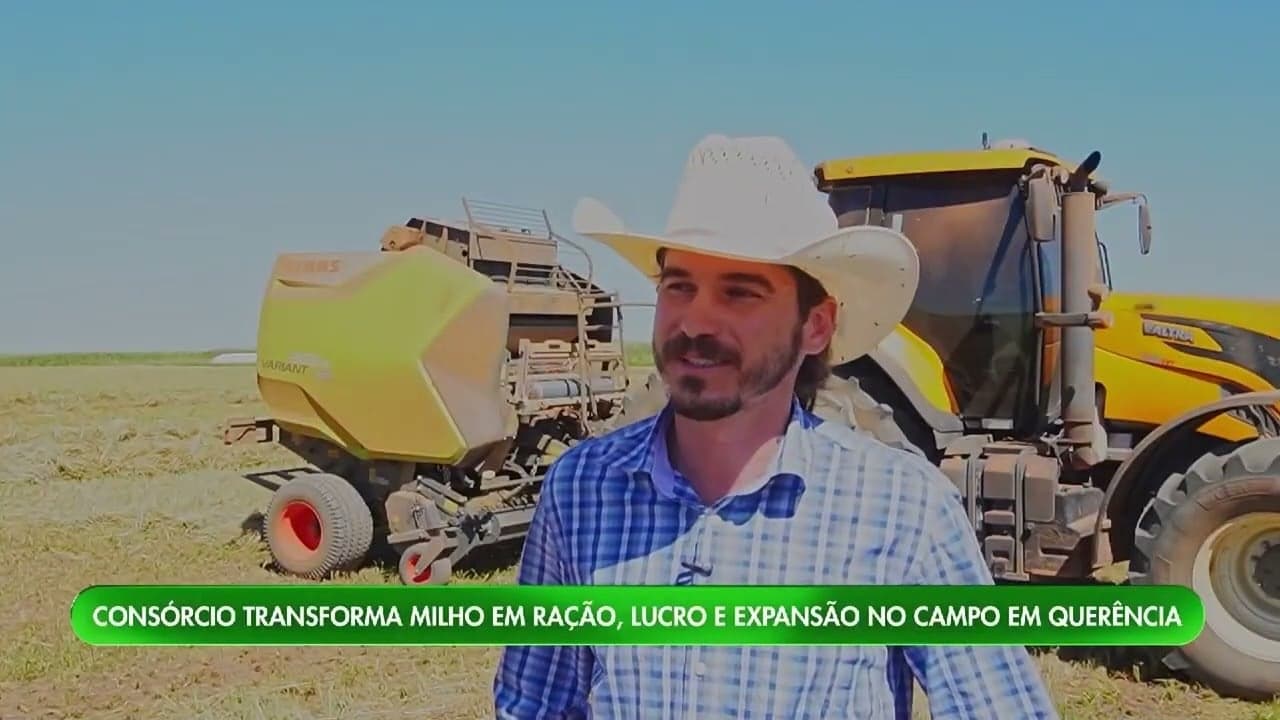 Vale do Araguaia: Inovações em Milho e Soja impulsionam Economia