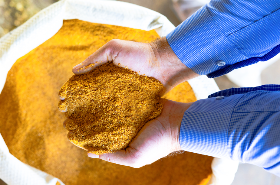 Brasil exporta 45 mil toneladas de DDGS para Turquia