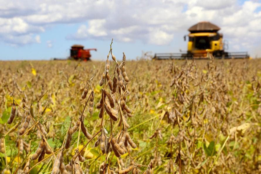 Colheita de soja no Brasil avança para 82,1% da área plantada