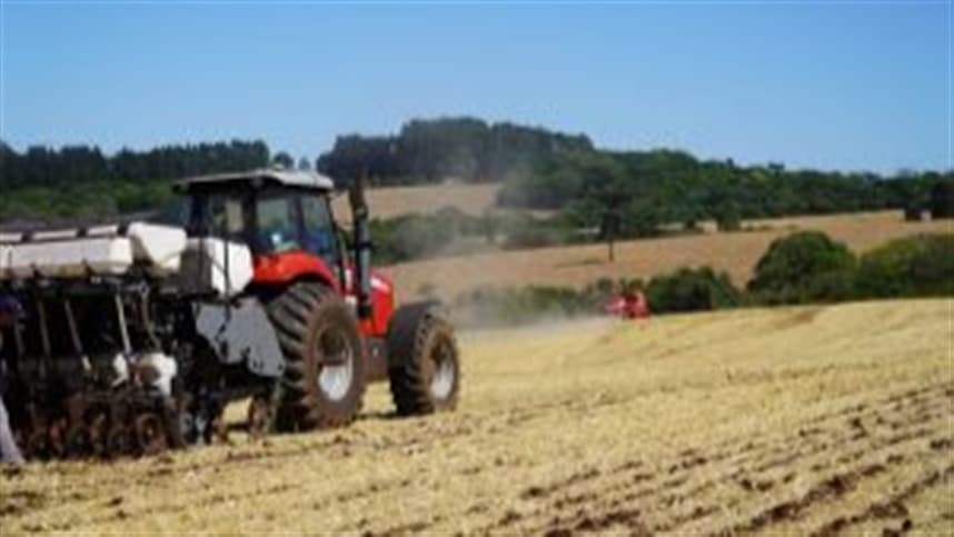 Ampliação de cultivos impulsiona novas oportunidades no Rio Grande do Sul