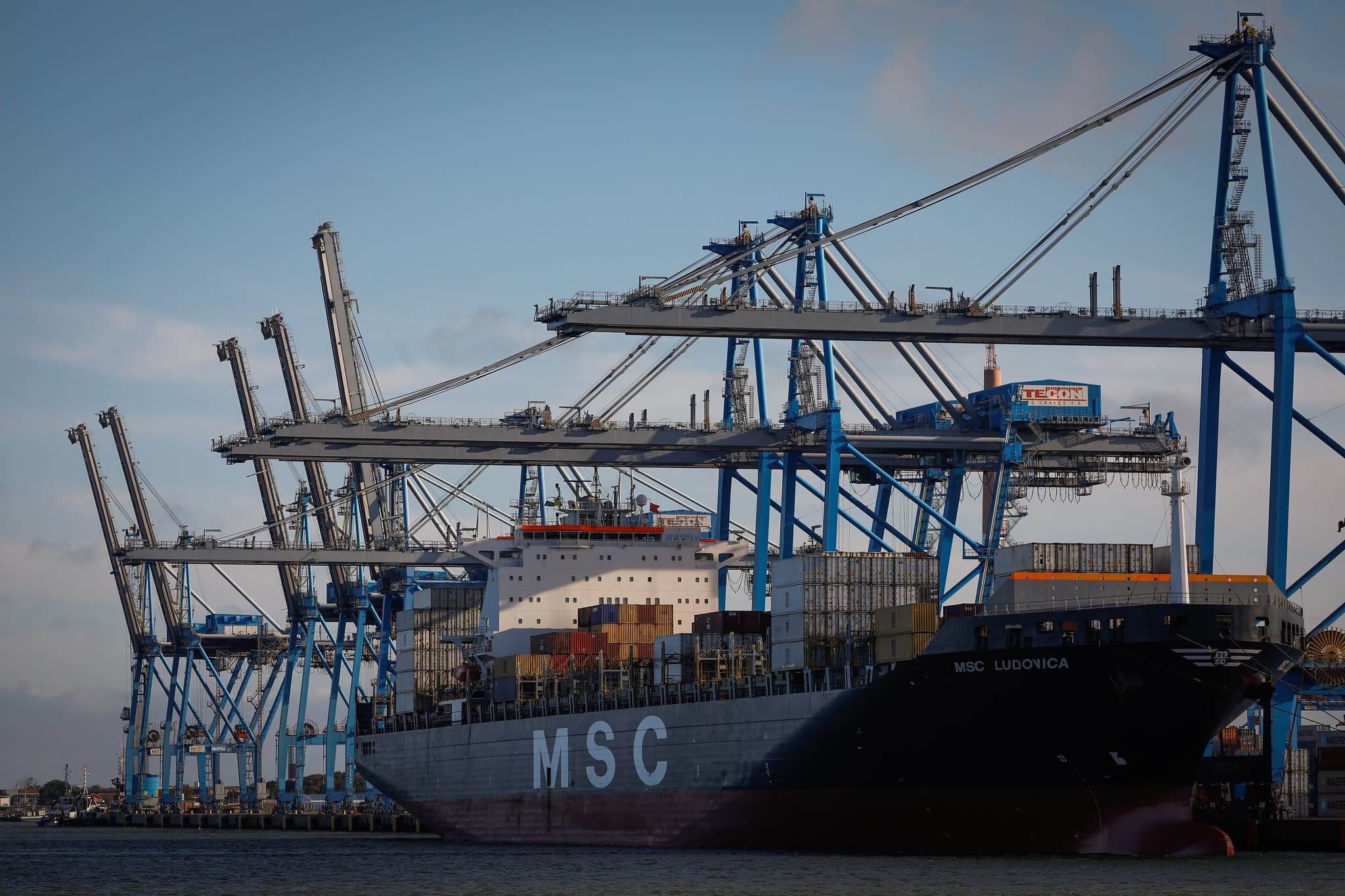 China exige soja de qualidade superior do Brasil