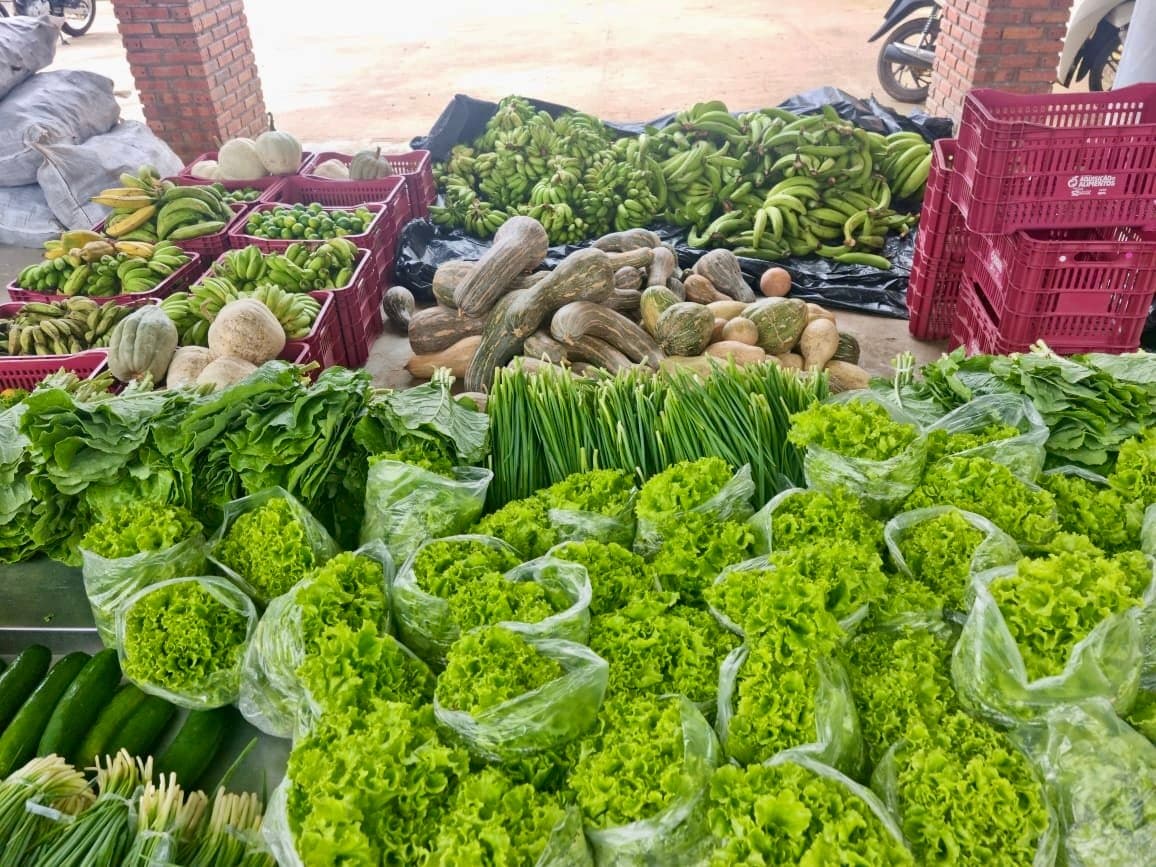 Benefícios da produção local de alimentos saudáveis nas zonas urbanas