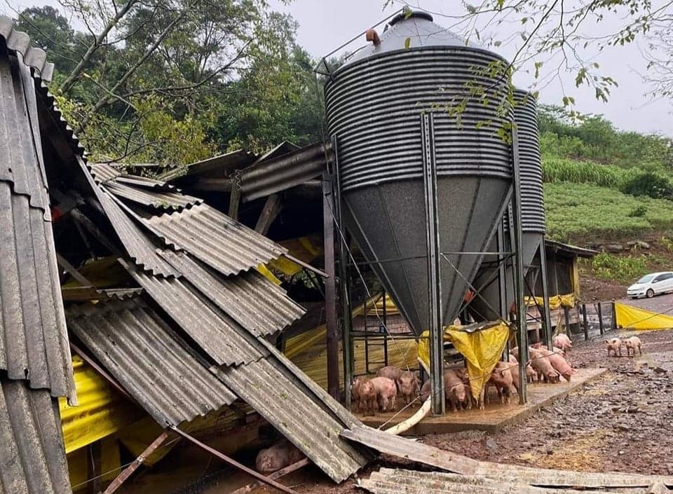 Impactos das enchentes no agronegócio do Rio Grande do Sul: uma análise detalhada.