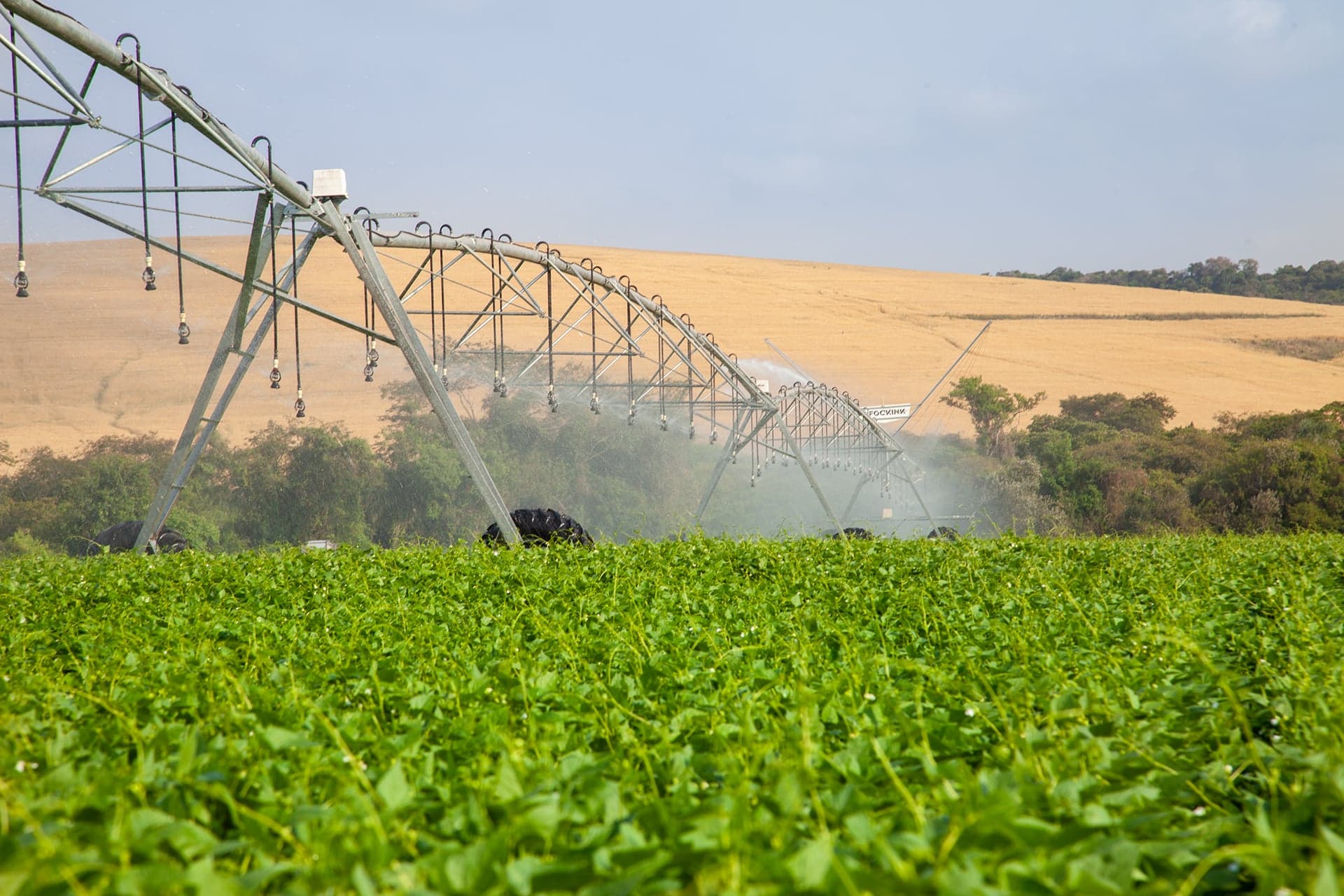 Irrigação pode aumentar renda agropecuária em R$ 8,9 mil por hectare