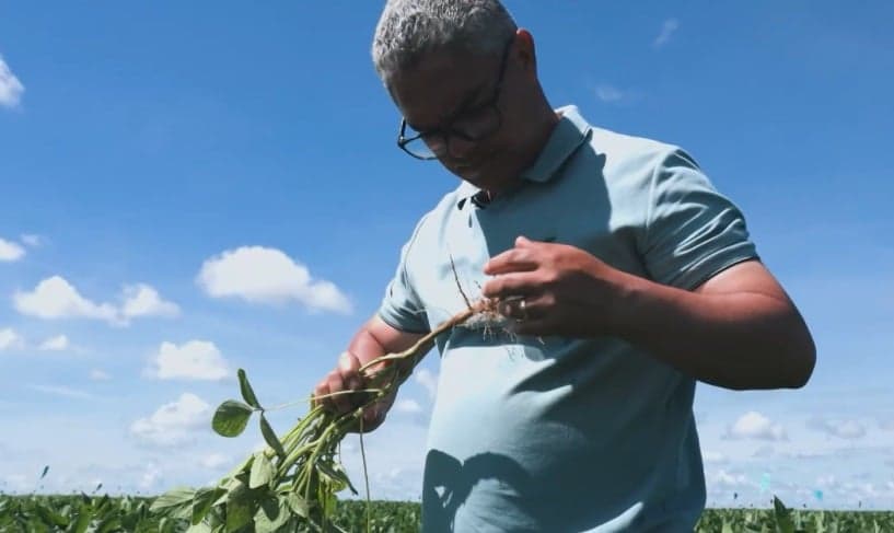 Produtores de soja mantêm cautela em vendas devido a incertezas climáticas