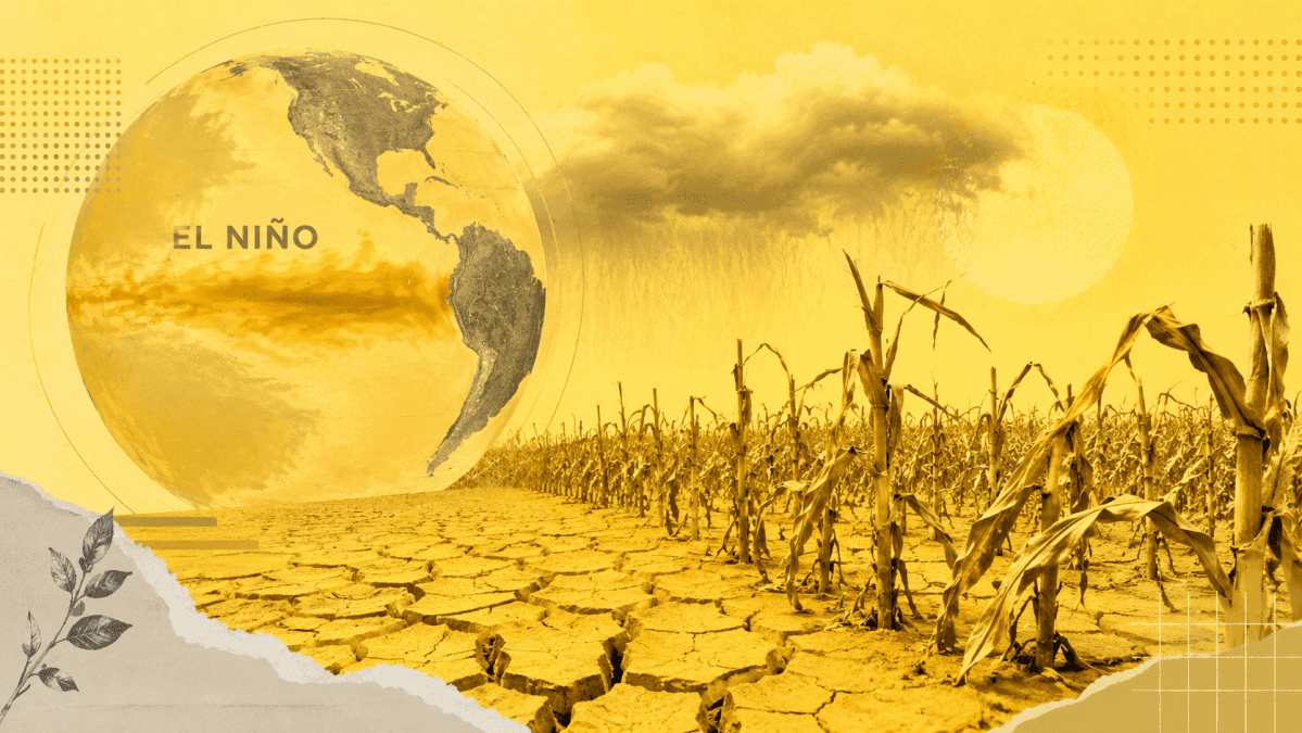 Sistema alimentar global se fortalece contra El Niño em 2026