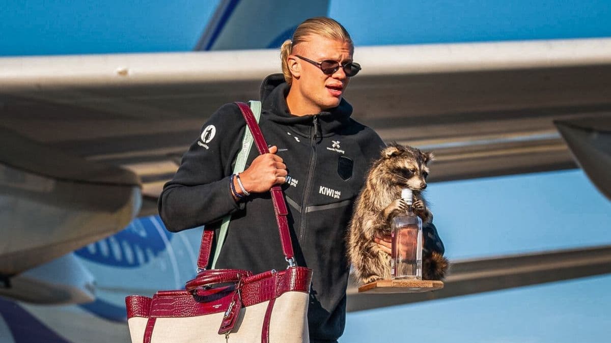 Haaland chama atenção com guaxinim empalhado após Copa do Mundo