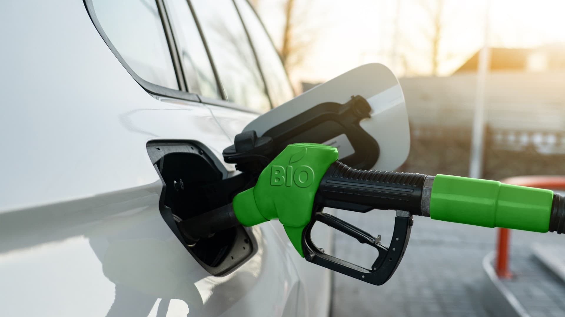 CNPE limita produção de biodiesel a unidades nacionais autorizadas