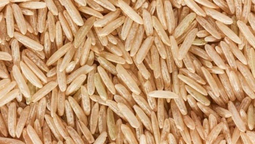 Potencial de produção de arroz em Goiás é apresentado a missão chinesa