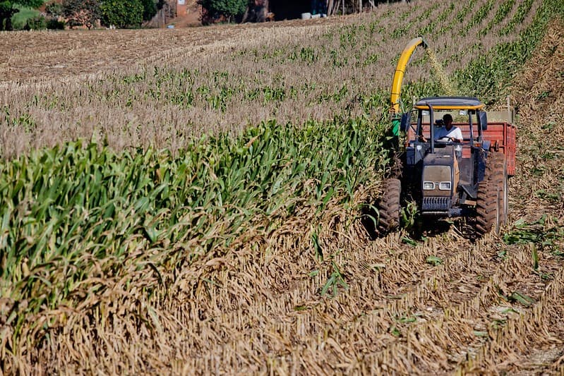 Ministra do Desenvolvimento Agrário vê crescimento nas renegociações de dívidas rurais