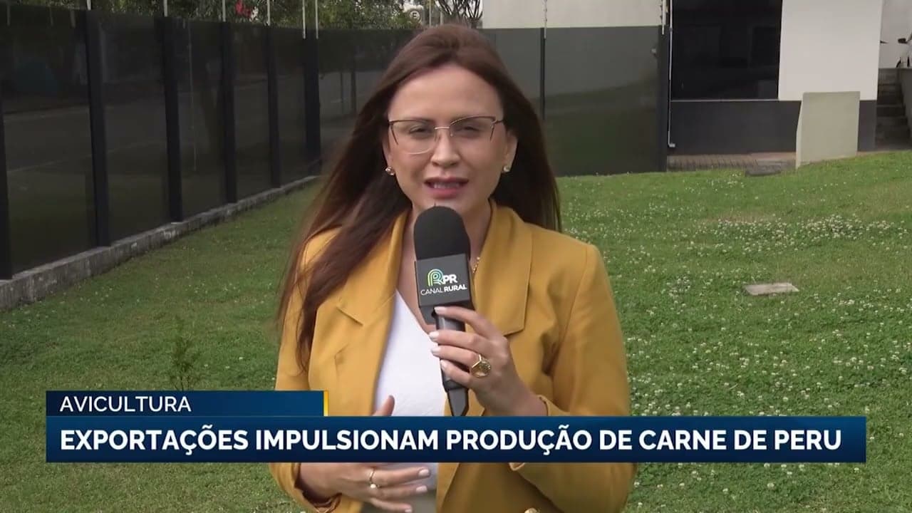 Produção de carne de peru no Brasil cresce após década de retração