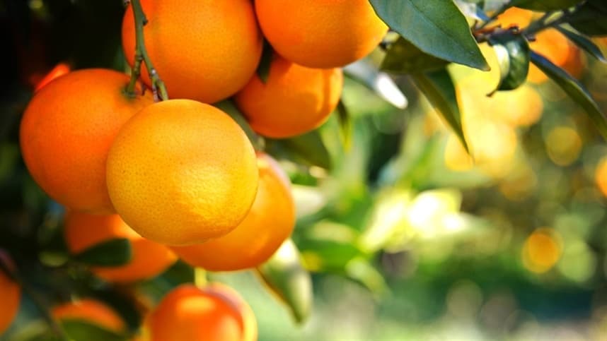 Albaugh apresenta soluções inovadoras na Agrishow