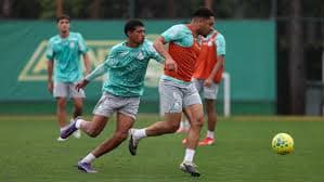 Reforços chegam para o Palmeiras na semifinal da Copa do Brasil