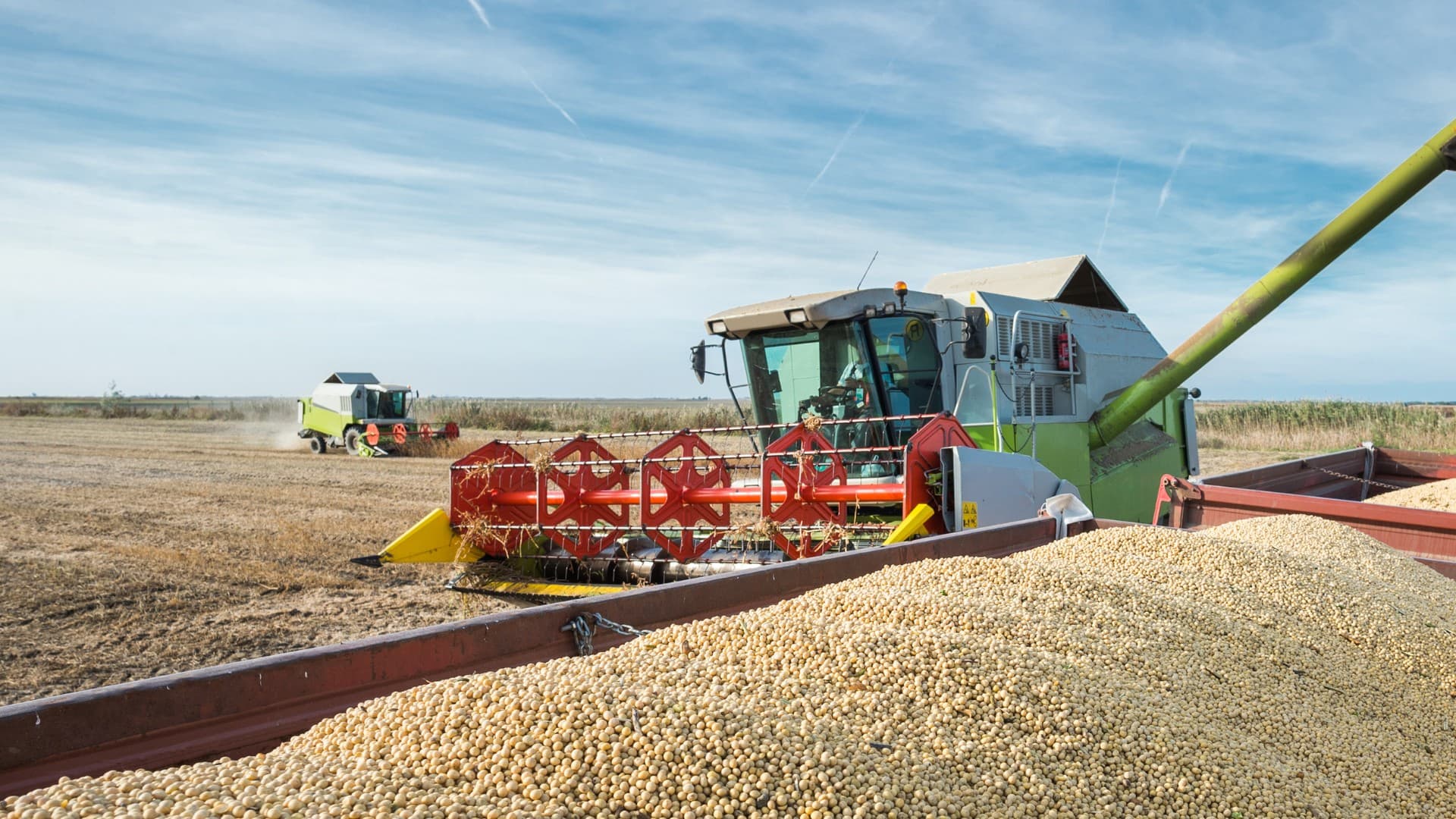 Preços da soja no Brasil apresentam estabilidade em meio à baixa demanda