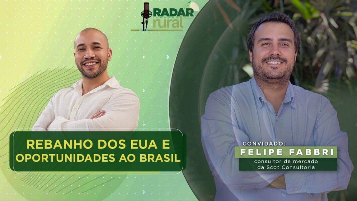 Scot Consultoria analisa queda do rebanho bovino nos EUA e impactos no Brasil