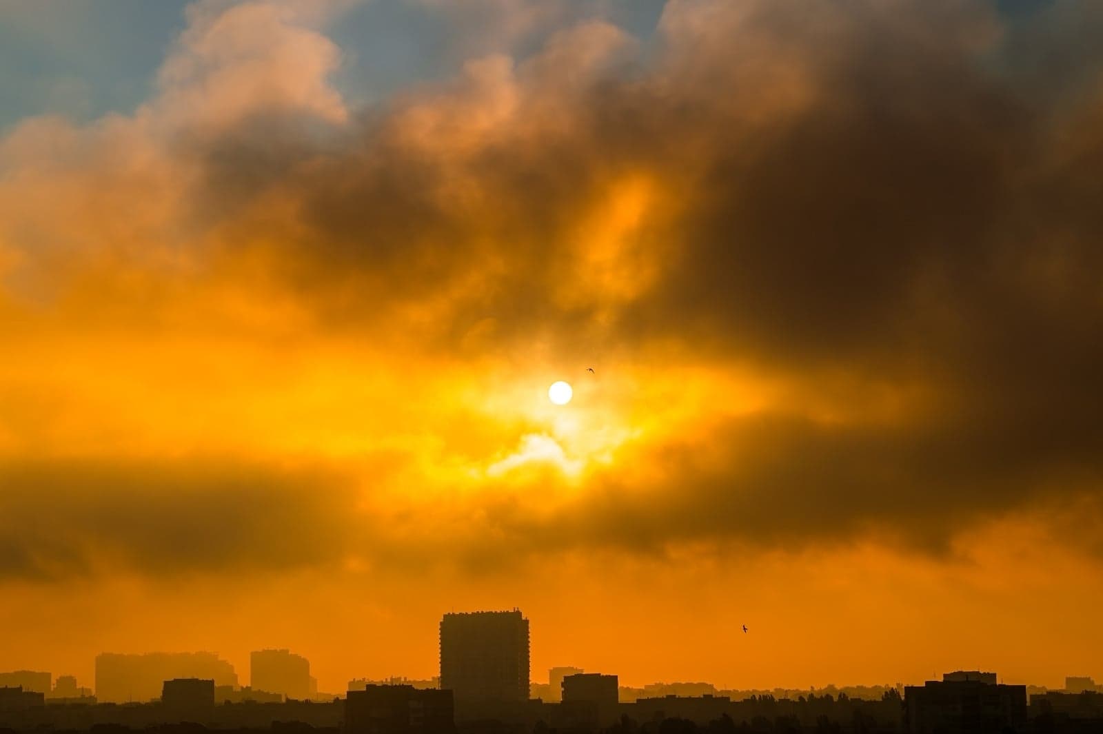 El Niño afetará safra de soja com altas temperaturas em 2026