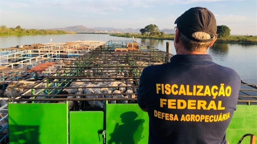 Ministério da Agricultura Amplia Remuneração para Servidores em Fronteiras