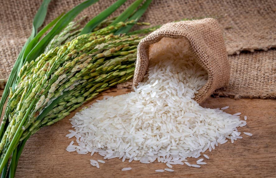 Possível demanda de R$ 4 bilhões com importação de arroz