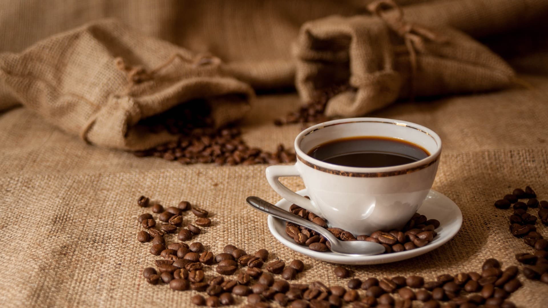 Café tem queda de quase 17% em preço nos últimos 12 meses
