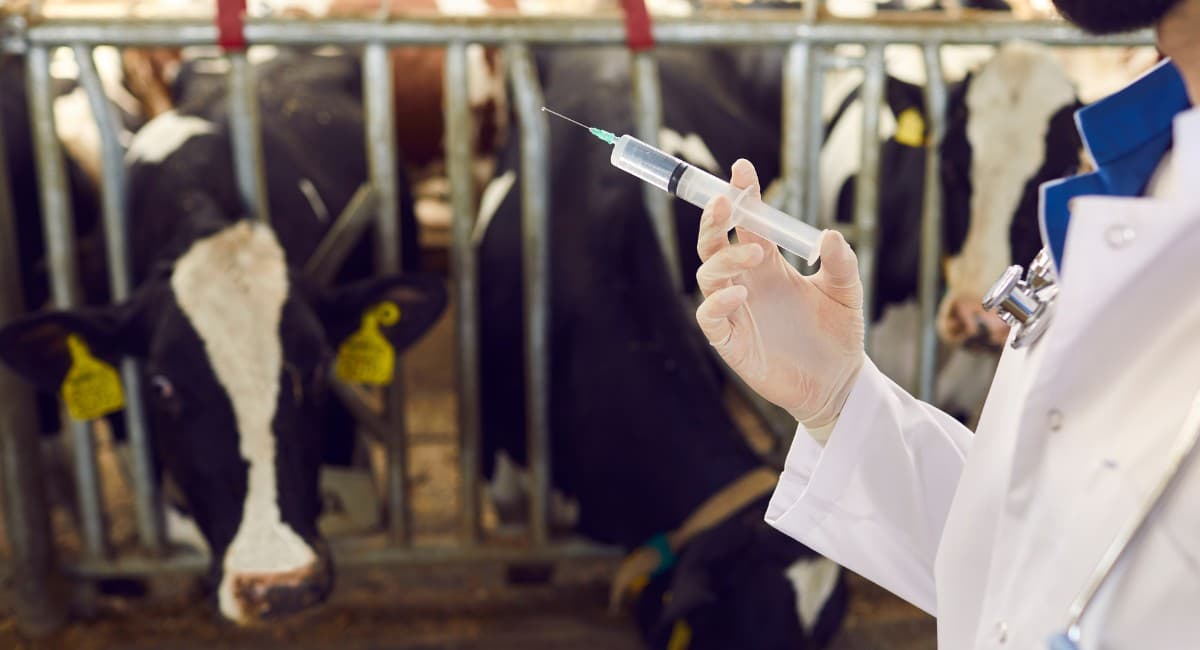 São Paulo cria fundo para defesa da pecuária contra febre aftosa