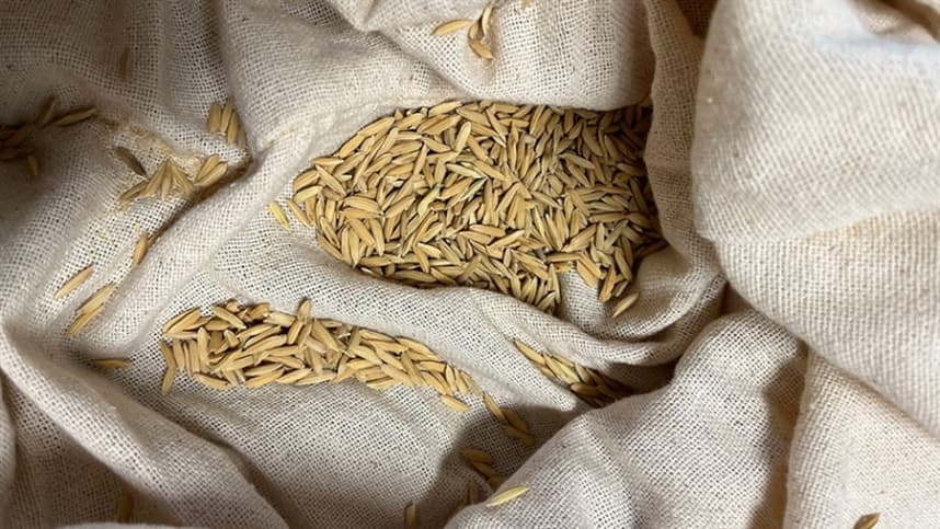 Embrapa Apoia Indicação Geográfica do Arroz Anã de Porto Marinho