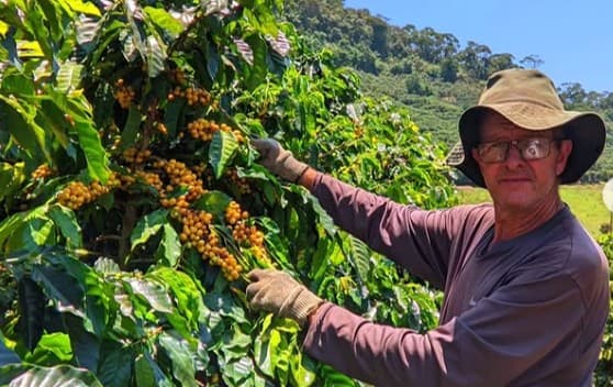 Plataforma permite rastreabilidade de cafés especiais no Brasil