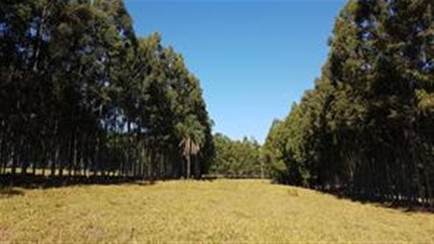 PIB do setor agrícola apresenta retração de 2,99%